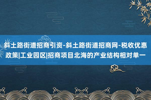 斜土路街道招商引资-斜土路街道招商网-税收优惠政策|工业园区|招商项目北海的产业结构相对单一